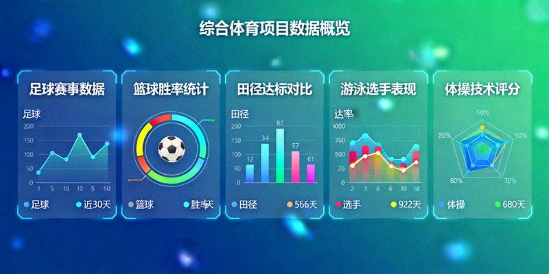 综合体育项目数据仪表盘概览
